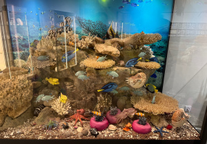 podwodny świat w muzeum przyrodniczym