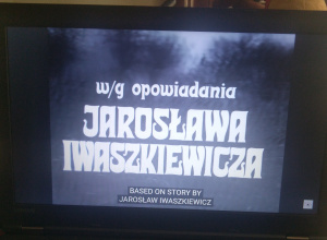 Projekt Malarskość filmu 2.0